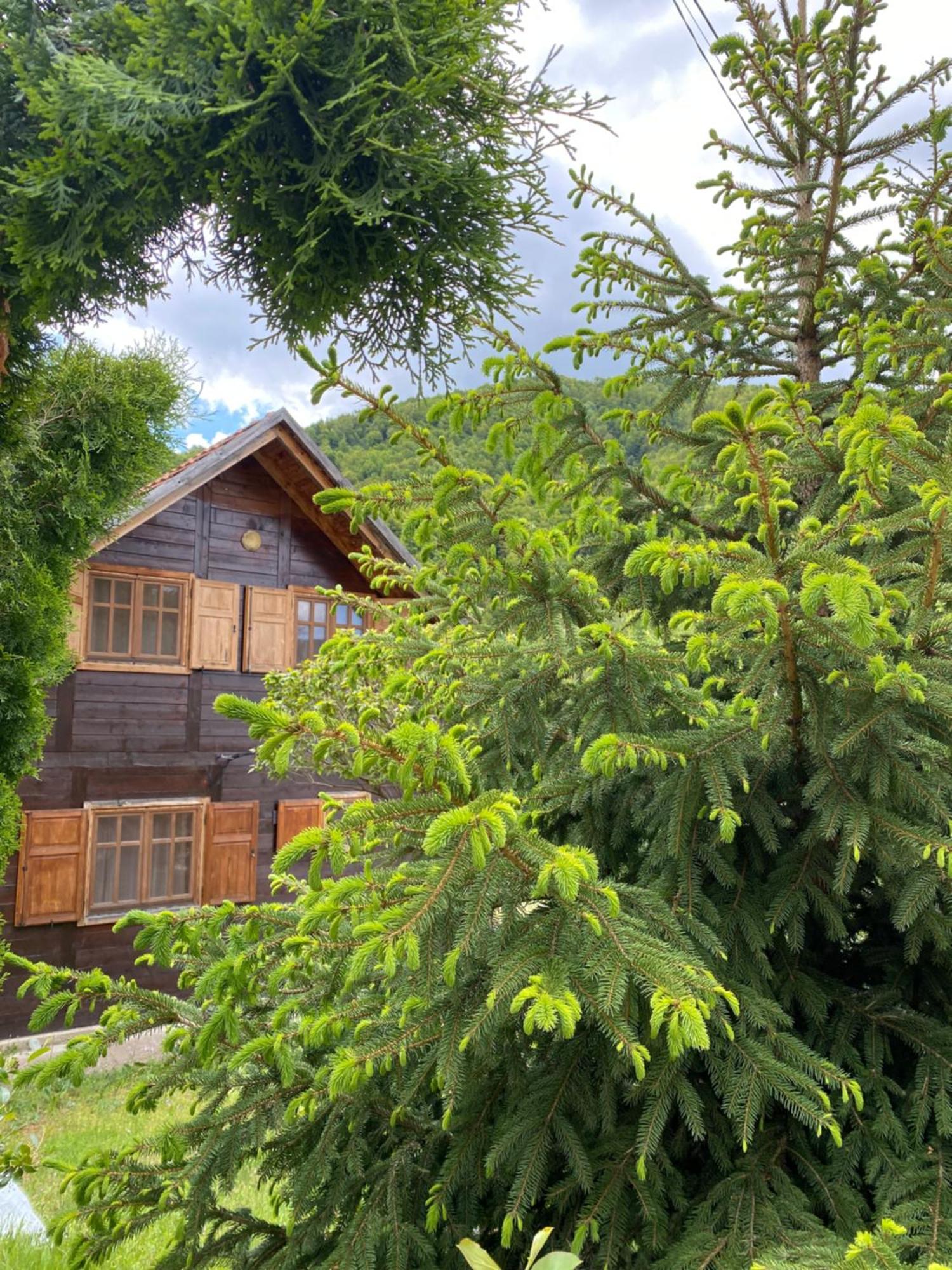 Aphrodite Hills Apartments-Stara Planina Crni Vrh Extérieur photo