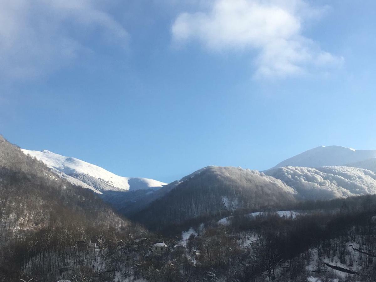Aphrodite Hills Apartments-Stara Planina Crni Vrh Extérieur photo
